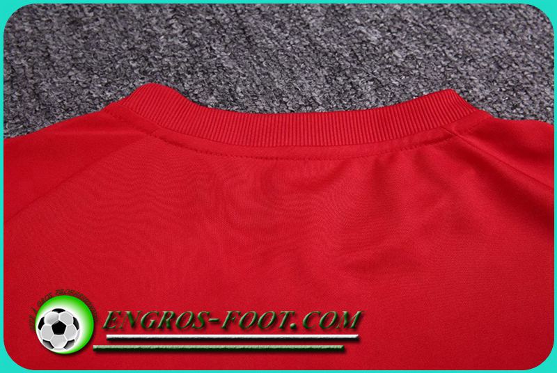 Photo Sweatshirt Training Benfica Rouge 16-17 Discount