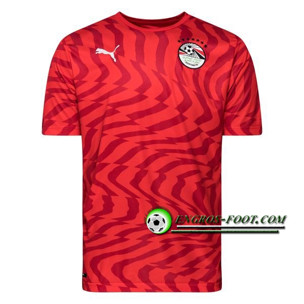 Engros-foot: Maillot Equipe De Egypte Domicile 2019 2020 Thailande