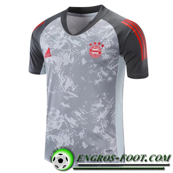 Training T-Shirts Bayern Munich Grise 2020/2021