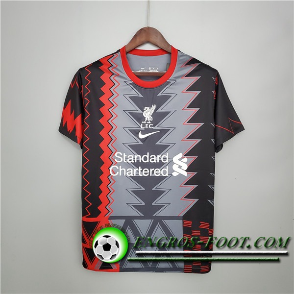 Training T-Shirts FC Liverpool Grise/Rouge/Noir 2021/2022