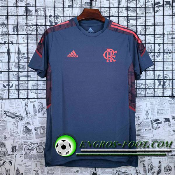 Training T-Shirts Flamengo Grise 2021/2022