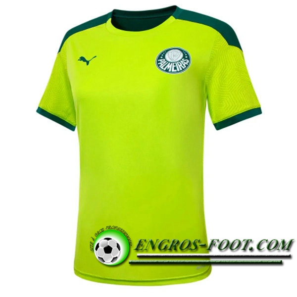 Training T-Shirts Palmeiras Vert 2021/2022