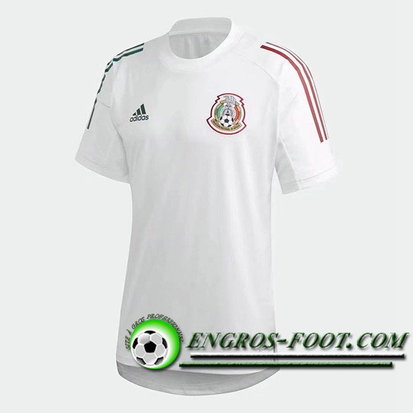 Training T-Shirts Mexique Blanc 2021/2022