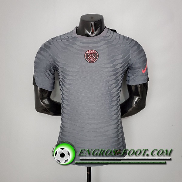 Training T-Shirts Jordan PSG Player Version Gris 2021/2022