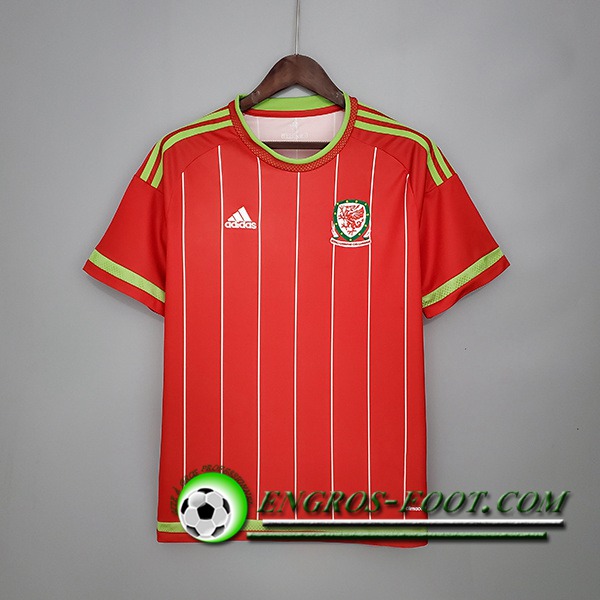 Maillot de Foot Pays de Galles Retro Domicile 2015/2016