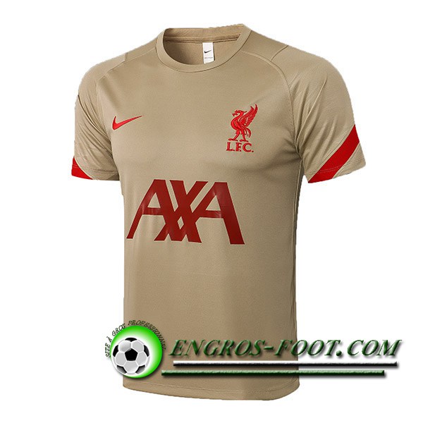 Training T-Shirts FC Liverpool Brun 2021/2022