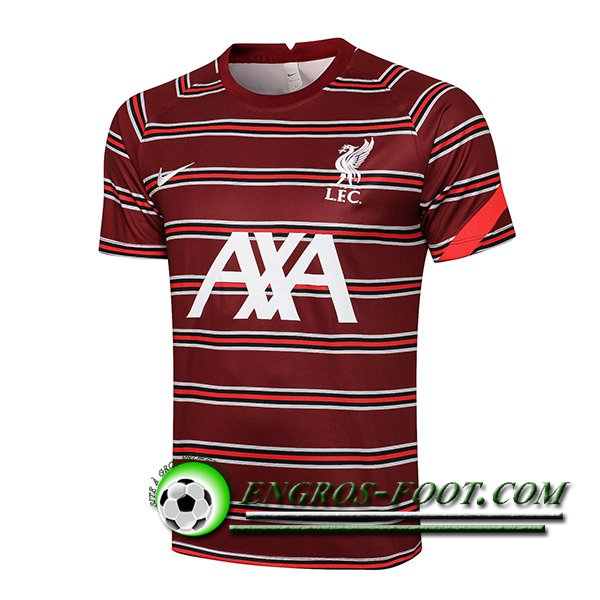 Training T-Shirts FC Liverpool Rouge 2021/2022