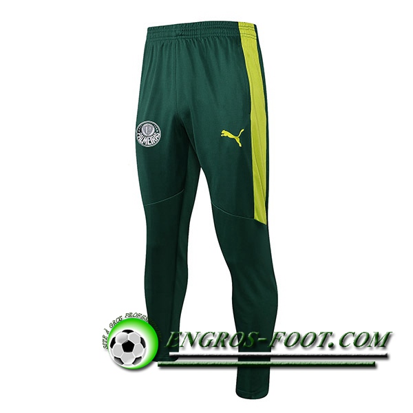 Training Pantalon Foot Palmeiras Vert 2021/2022