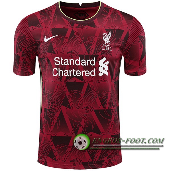 Training T-Shirts FC Liverpool Rouge/Blanc 2020/2021