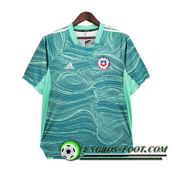 Maillot de Foot Colo Colo Gardien De But Vert 2021/2022