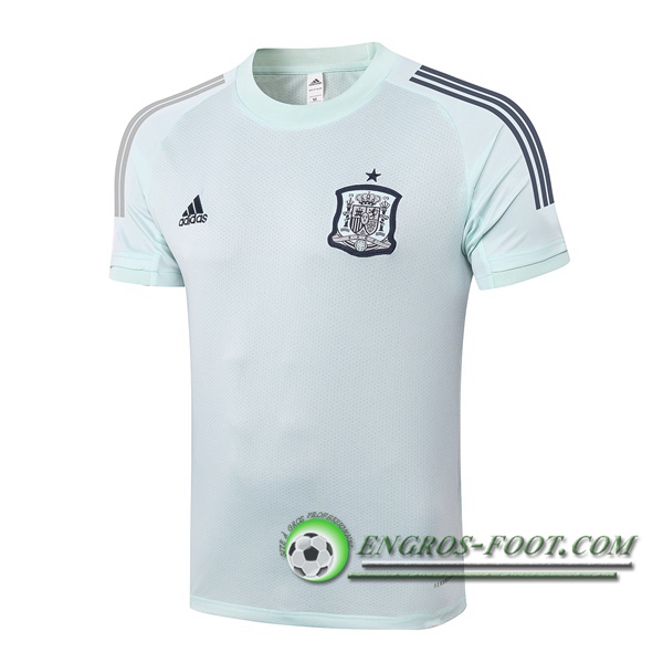 Training T-Shirts Espagne Vert 2020/2021