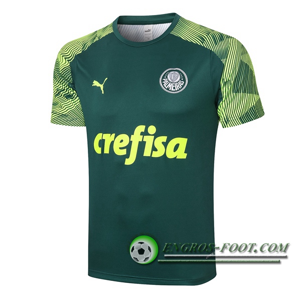 Training T-Shirts Palmeiras Vert 2020/2021