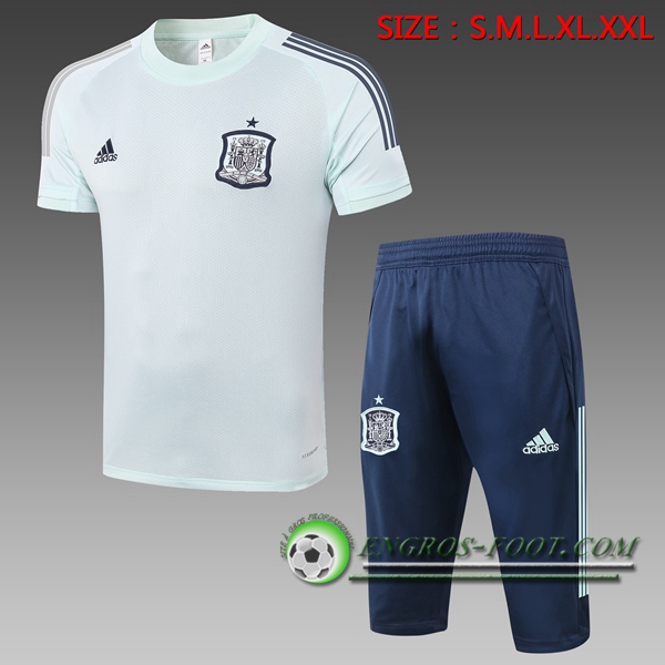 Ensemble Training T-Shirts Espagne + Pantalon 3/4 Vert 2020/2021