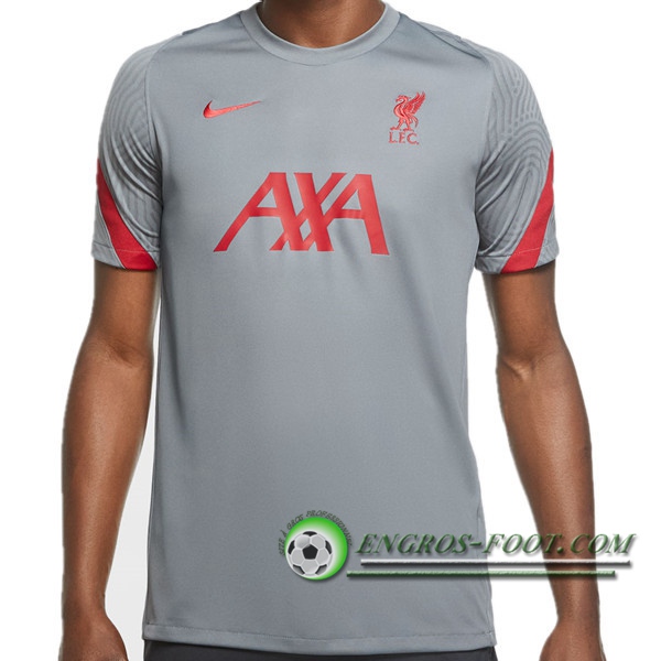 Training T-Shirts FC Liverpool Gris 2020/2021