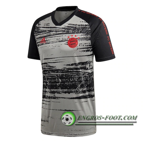 Training T-Shirts Bayern Munich Gris 2020/2021