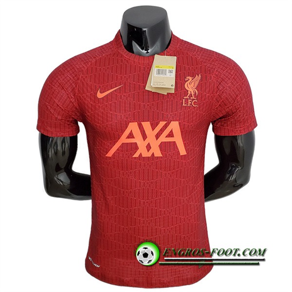 Training T-Shirts FC Liverpool Rouge 2022/2023