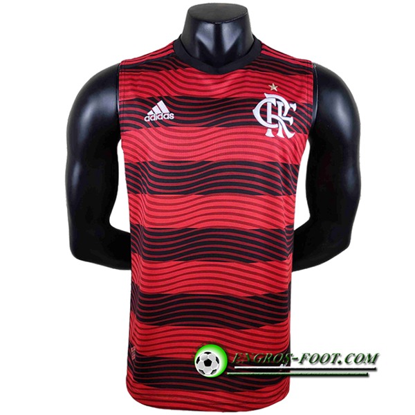 Maillot de Foot Flamengo Gilet 2022/2023