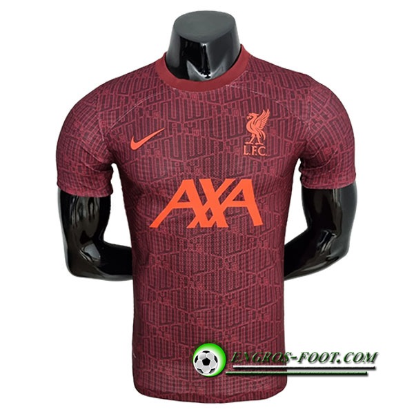 Training T-Shirts FC Liverpool Player Version Brun 2022/2023