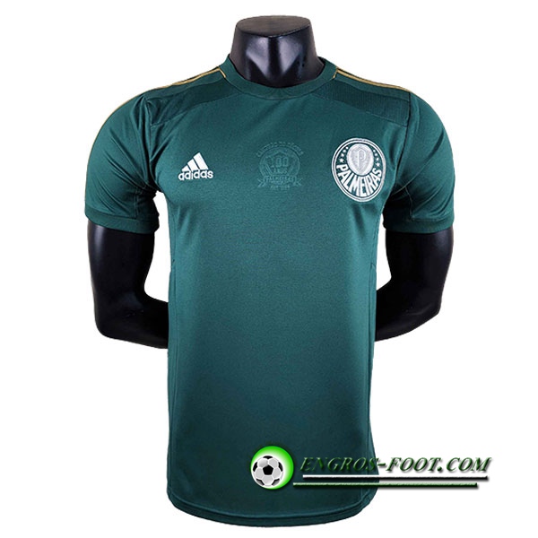 Maillot de Foot Palmeiras Retro Domicile 2014/2015