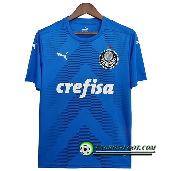 Maillot de Foot Palmeiras Gardien de But Bleu 2022/2023