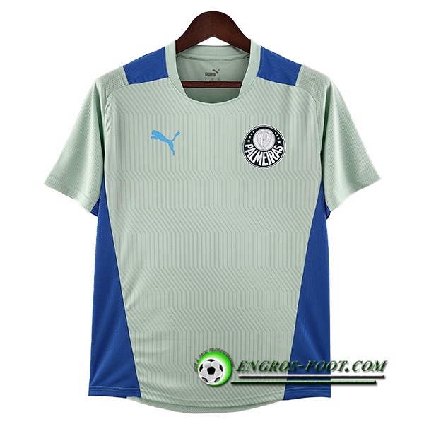 Training T-Shirts Palmeiras Vert 2022/2023