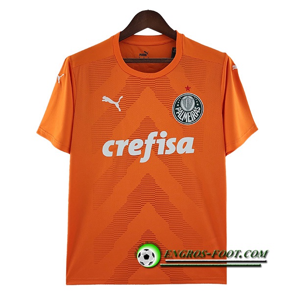 Maillot de Foot Palmeiras Gardien de But Orange 2022/2023