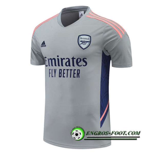 Training T-Shirts Arsenal Gris 2022/2023