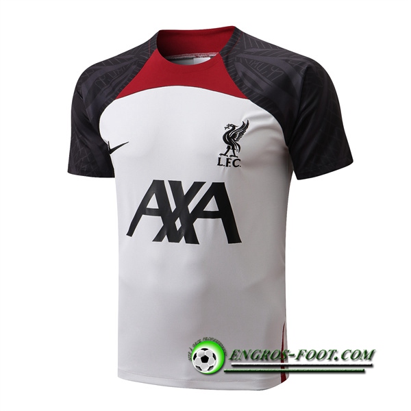 Training T-Shirts FC Liverpool Blanc/Noir 2022/2023