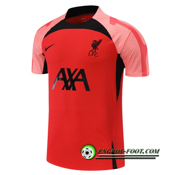 Training T-Shirts FC Liverpool Rouge/Rose 2022/2023