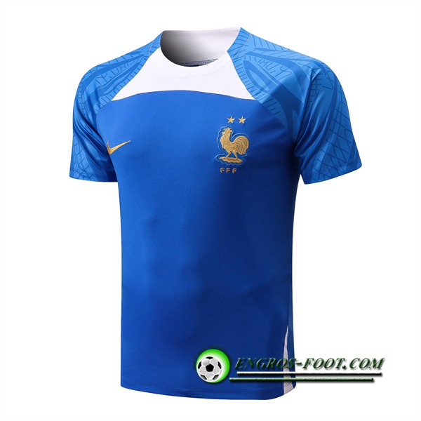 Training T-Shirts France Bleu 2022/2023