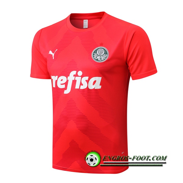 Training T-Shirts Palmeiras Rouge 2022/2023