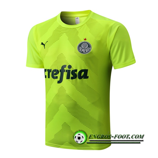 Training T-Shirts Palmeiras Vert 2022/2023