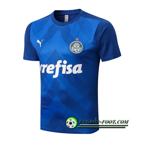 Training T-Shirts Palmeiras Bleu 2022/2023