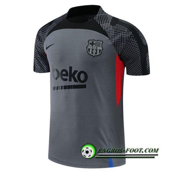 Training T-Shirts FC Barcelone Gris 2022/2023