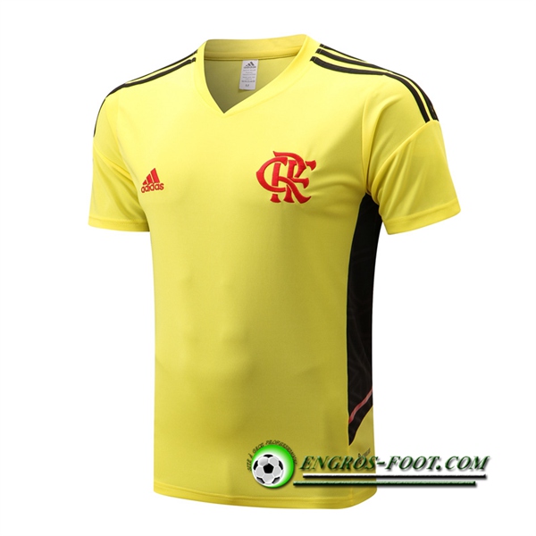 Training T-Shirts Flamengo Jaune 2022/2023