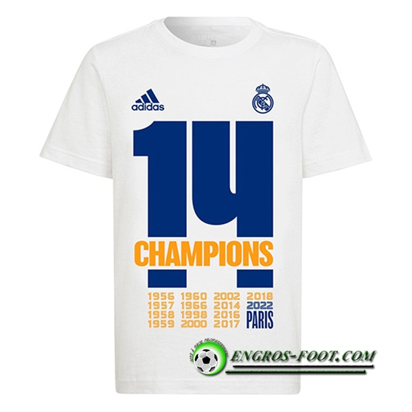 Training T-Shirts Real Madrid UCL Champions 14 Blanc