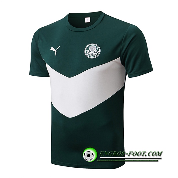 Training T-Shirts Palmeiras Vert/Blanc 2022/2023