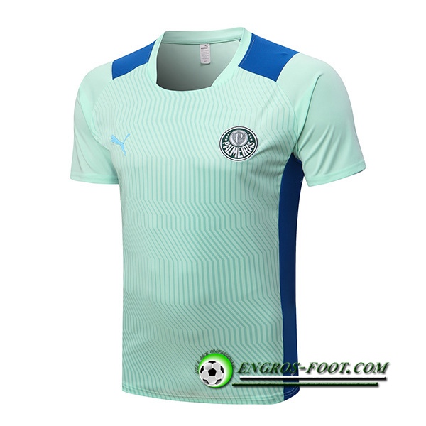 Training T-Shirts Palmeiras Vert 2022/2023