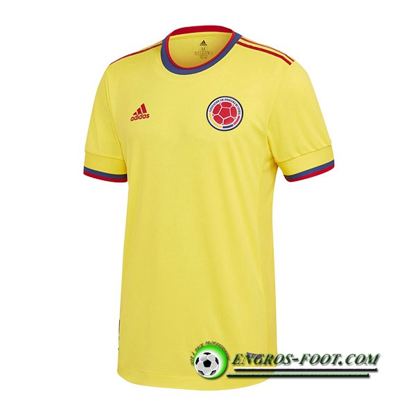 Nouveau Maillot Equipe Foot Colombie Domicile 2022/2023