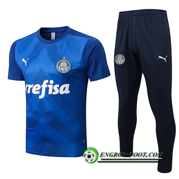 Ensemble Training T-Shirts + Pantalon Palmeiras Bleu 2022/2023