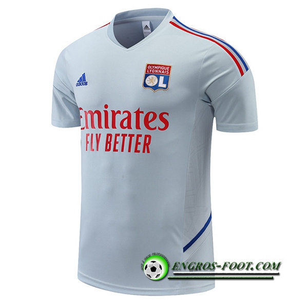 Training T-Shirts Lyon Gris 2022/2023