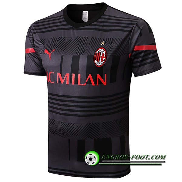 Training T-Shirts Milan AC Gris 2022/2023