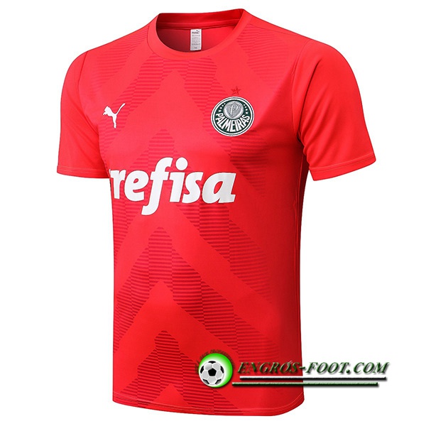 Training T-Shirts Palmeiras Rouge 2022/2023