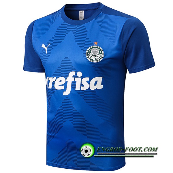 Training T-Shirts Palmeiras Bleu 2022/2023