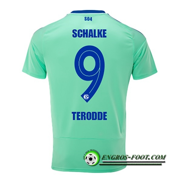 Maillot de Foot Schalke 04 (TERODDE #9) 2022/23 Third