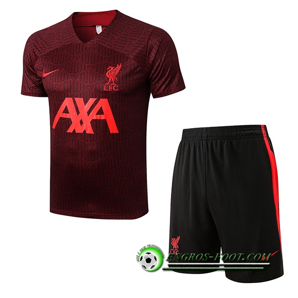 Ensemble Training T-Shirts + Shorts FC Liverpool Brun 2022/2023