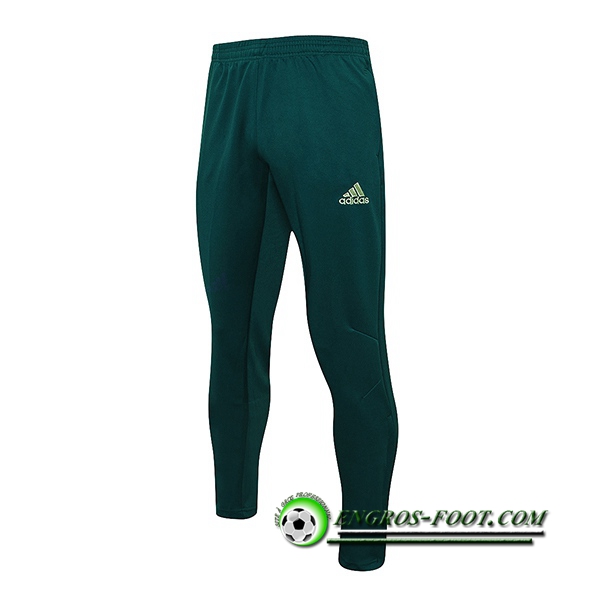 Pantalon Foot Palmeiras Vert 2022/2023