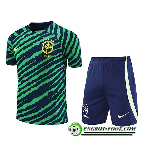 Ensemble Training T-Shirts + Shorts Bresil Vert/Bleu 2022/2023