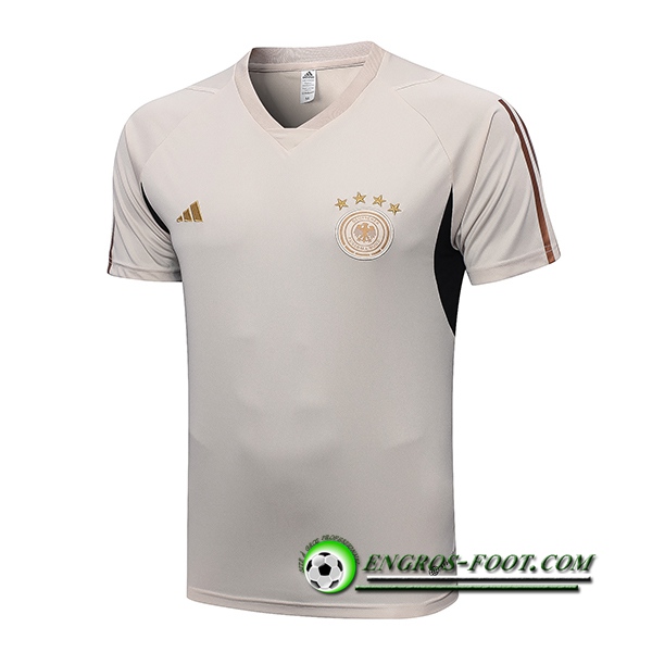 Training T-Shirts Allemagne Gris Clair 2022/2023