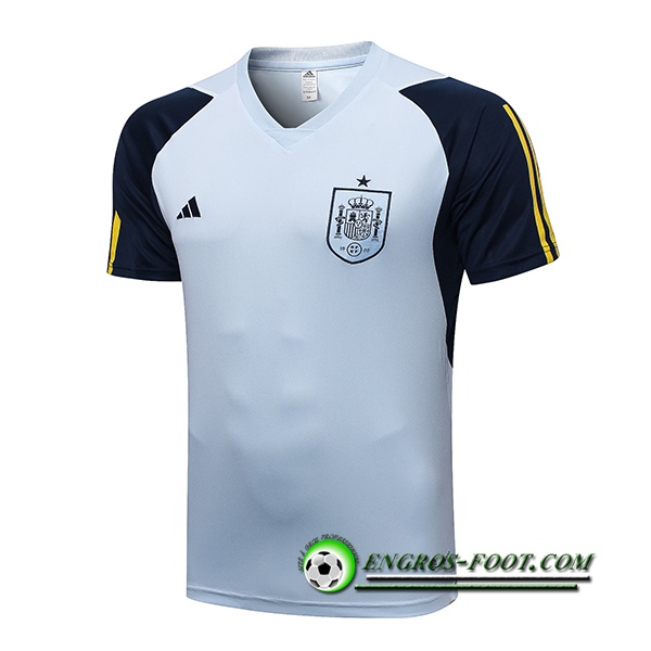 Training T-Shirts Espagne Bleu Clair 2022/2023